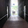 Kaka'ako #1