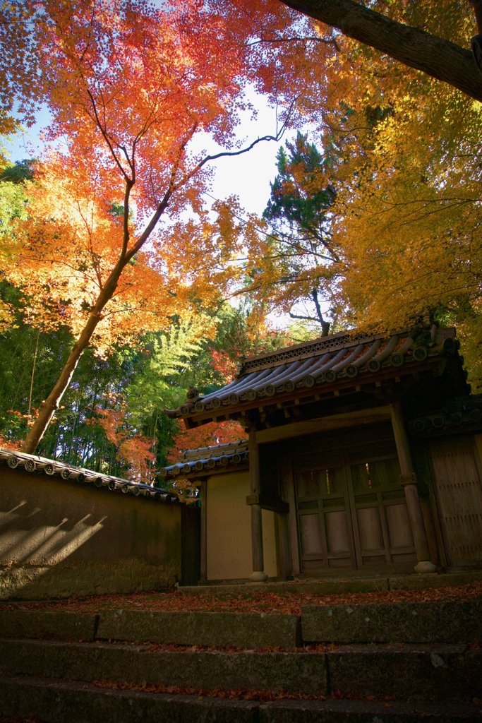 井山宝福寺