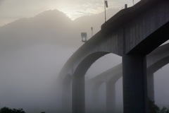 朝霧