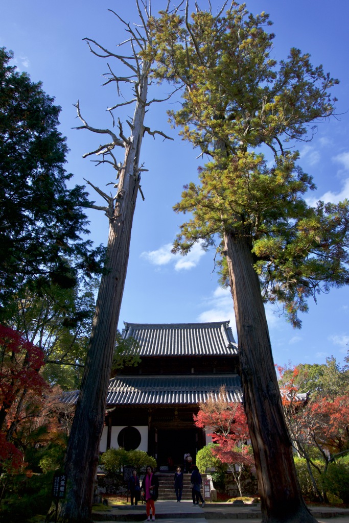 井山宝福寺