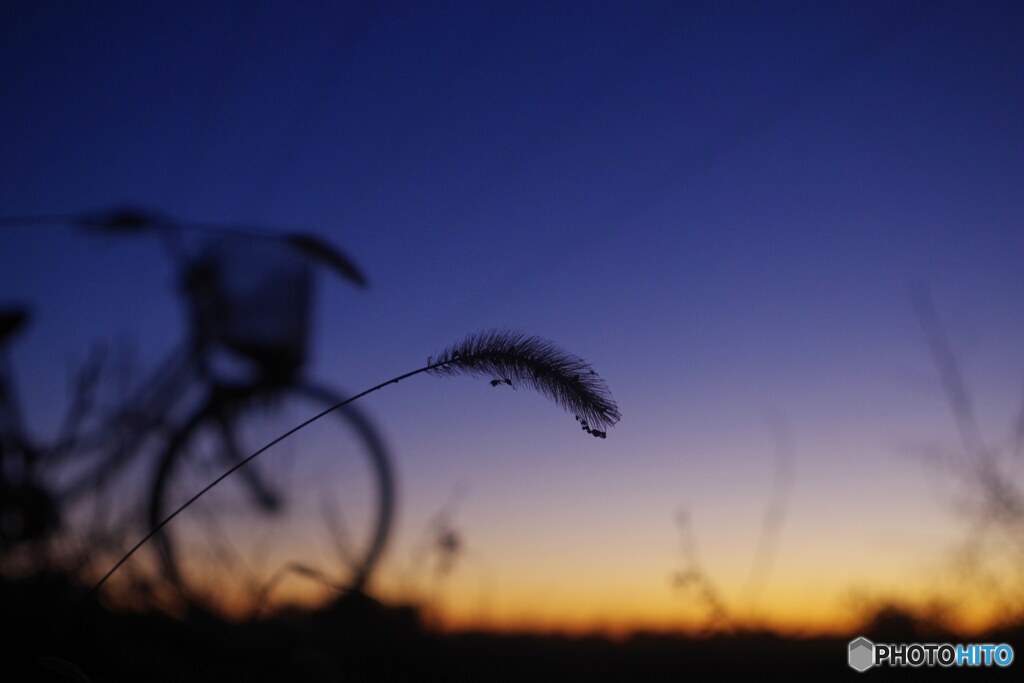 初夕焼け