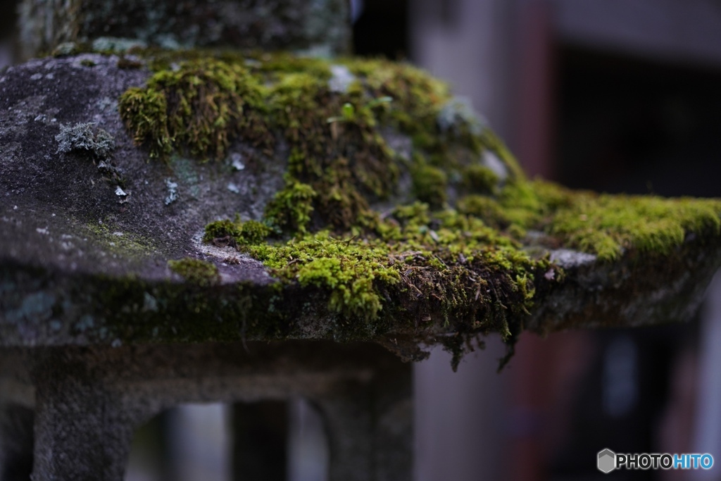 7B0291D2-A8AF-4083-A2F4-985B4707CC64