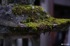 7B0291D2-A8AF-4083-A2F4-985B4707CC64