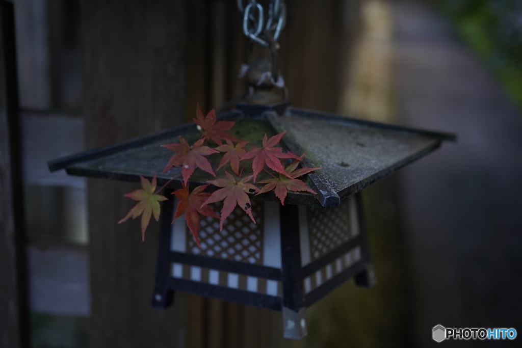 2D1305C2-795B-4C2F-966A-474DFEB7A6B3