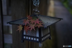 2D1305C2-795B-4C2F-966A-474DFEB7A6B3