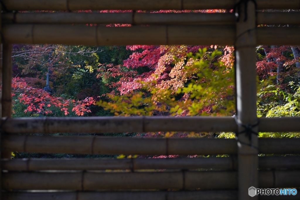 DAE8A56F-E612-4F2B-B0FF-E683829CFCA8