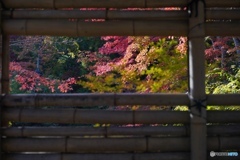 DAE8A56F-E612-4F2B-B0FF-E683829CFCA8