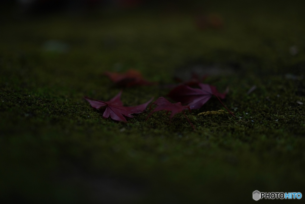 ED0FEC9C-74C0-47D4-9A5D-CC7C47635FD4