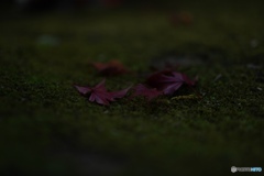 ED0FEC9C-74C0-47D4-9A5D-CC7C47635FD4