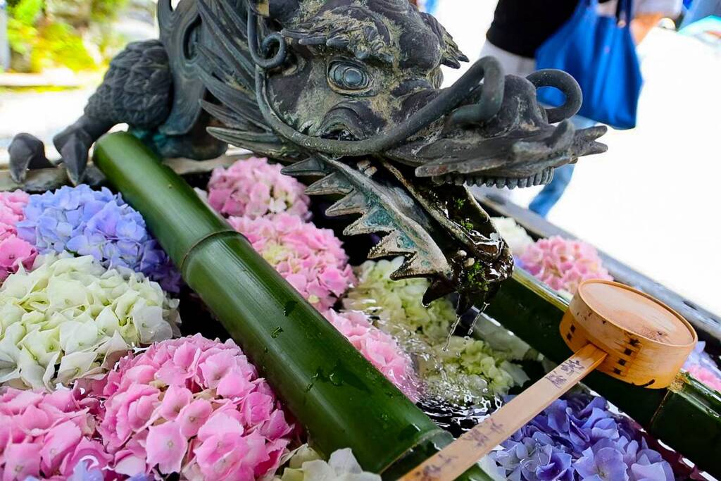 梅 雨 の 手 水 舎