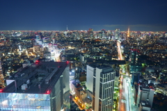 大都会の夜