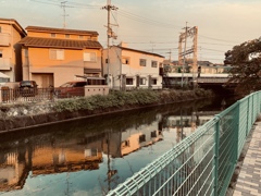 京都散策