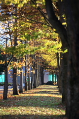 山形県総合運動公園