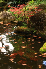 洗心庵　紅葉