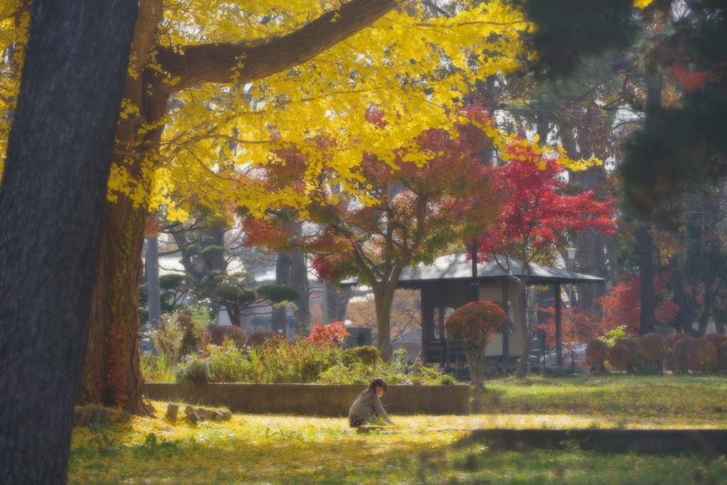 IMGP0440