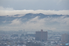 IMGP5906
