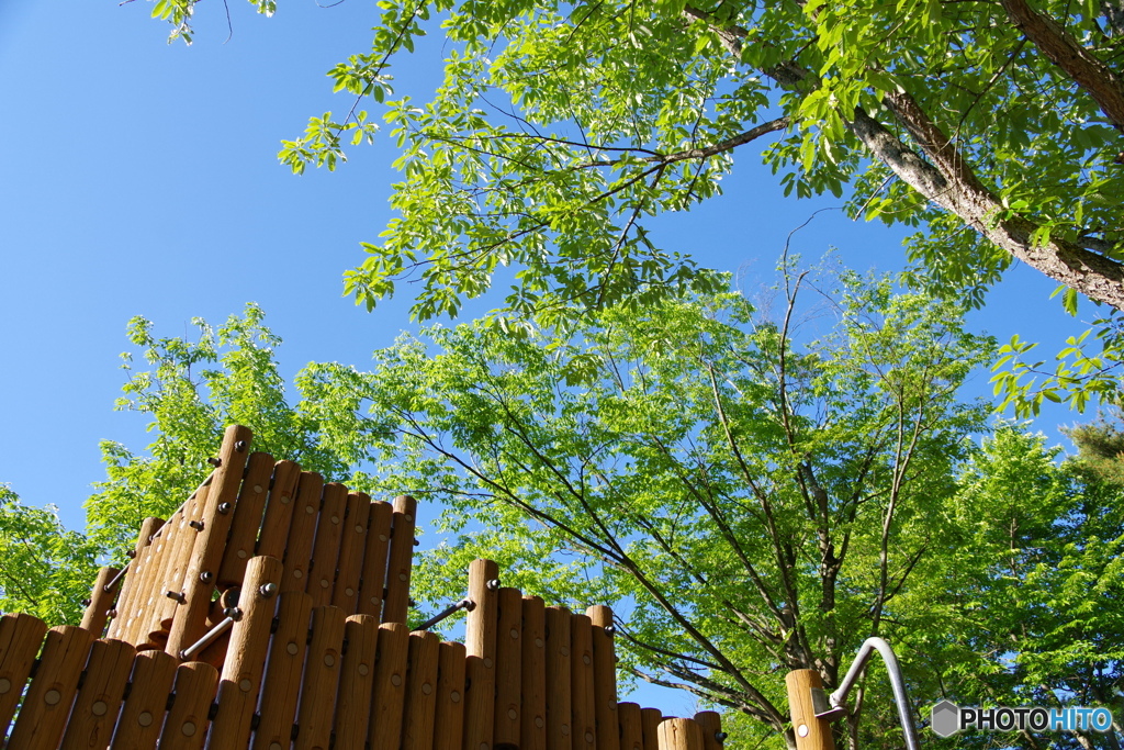 夏空