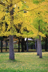 山形県総合運動公園