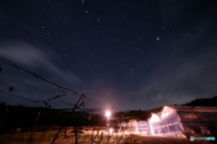 冬の星空