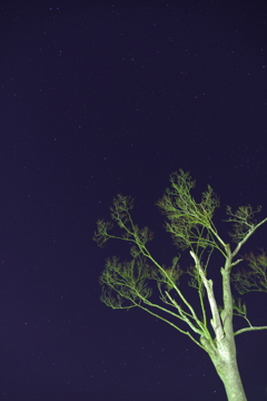 朝焼け前の夜空