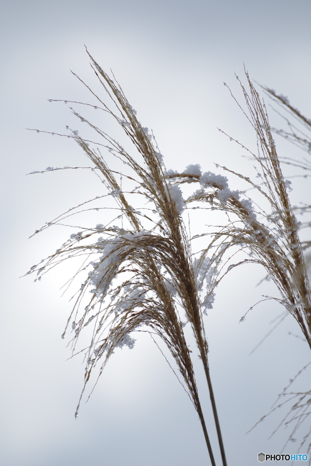 雪の重みを感じて