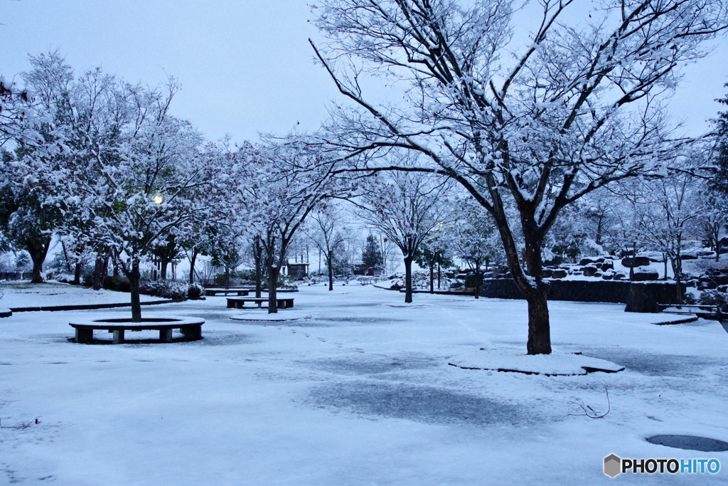 雪の朝