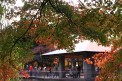 山形県総合運動公園