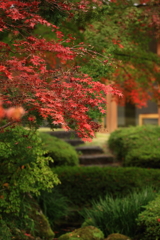 洗心庵　紅葉