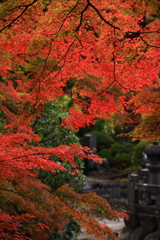 石行寺　紅葉