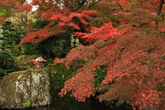 石行寺　紅葉