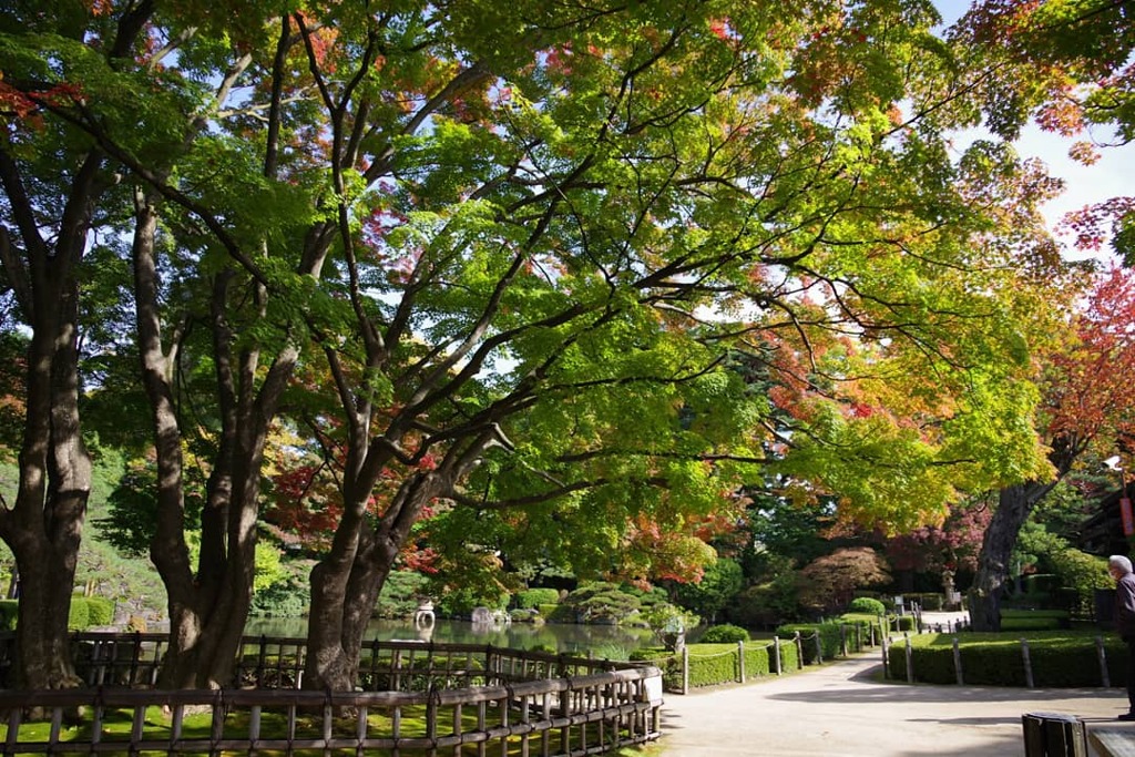 もみじ公園