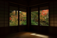 洗心庵　紅葉
