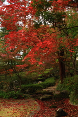 洗心庵　紅葉