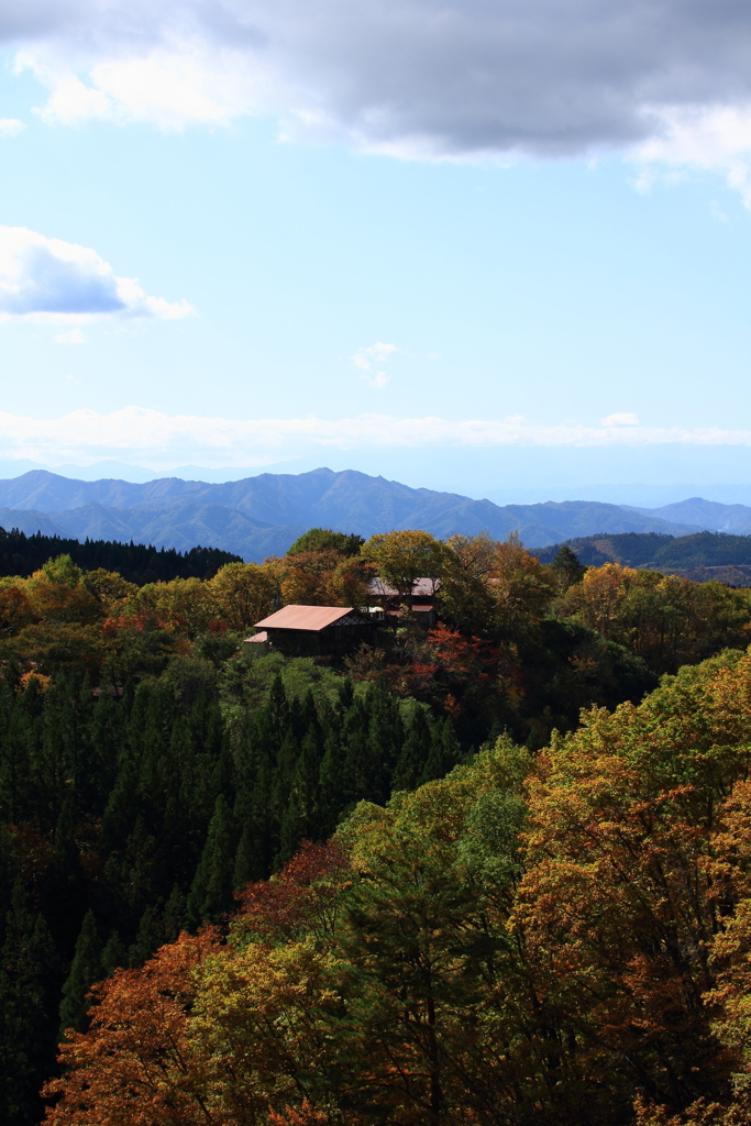 山形蔵王紅葉