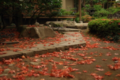 洗心庵　紅葉