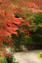 石行寺　紅葉