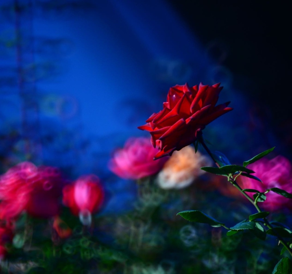 6A73961B-D7C5-4CD9-9F91-BA66B9139362