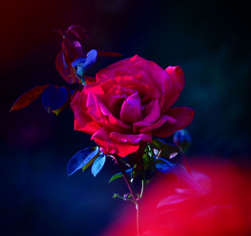 20D97C42-035E-4114-9D6A-FEDF7962B3A2