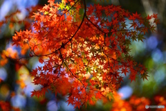 DSC00010