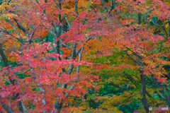 DSC00197