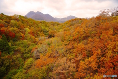 DSC03380
