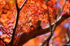DSC00080