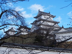 P1010029