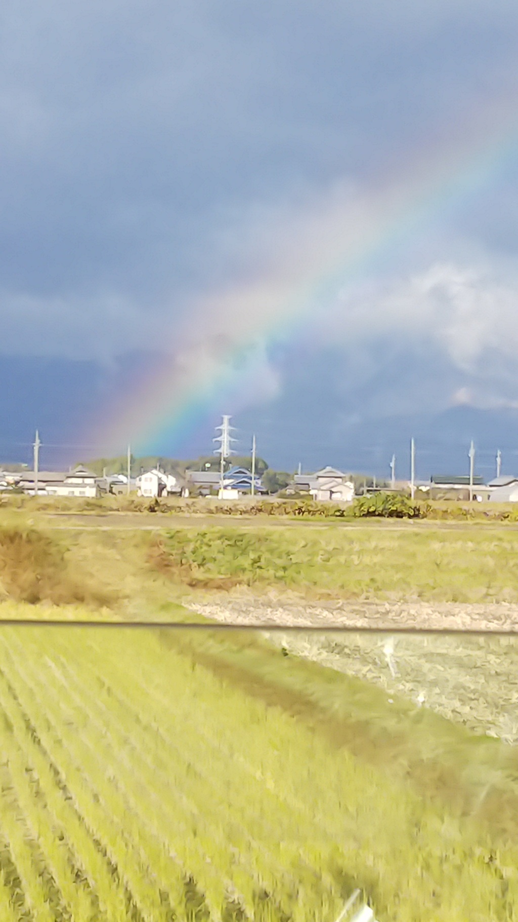 幸せな朝…