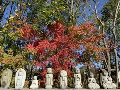 お寺の秋
