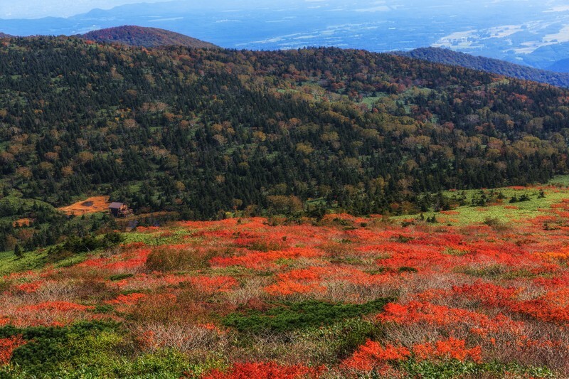 嶋内敏博　深まる秋