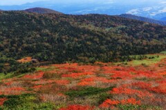 嶋内敏博　深まる秋