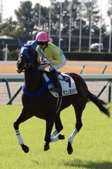 藤田菜七子騎手　中京競馬場にて⑥