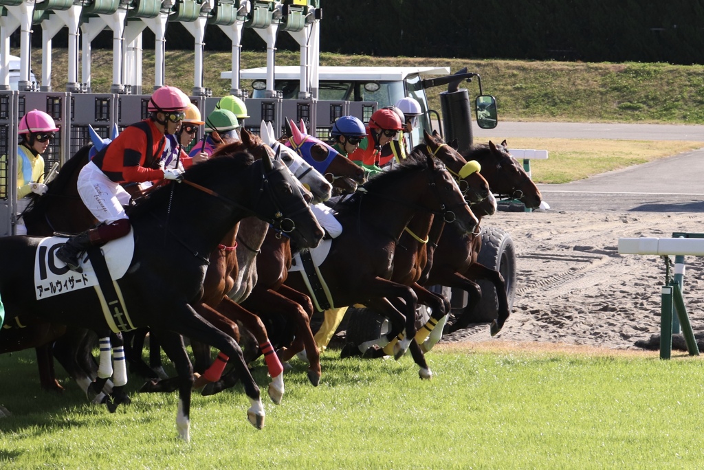 各馬一斉にスタートしました　中京競馬場にて③