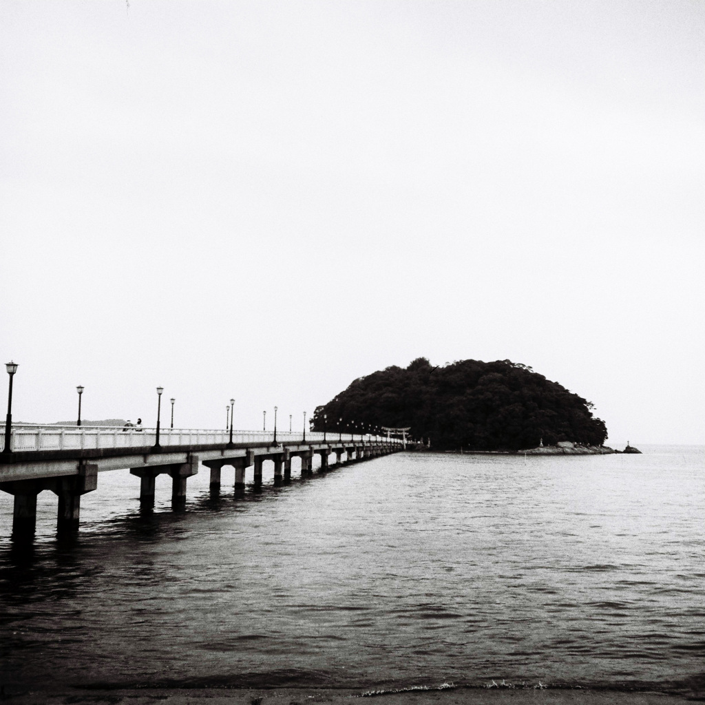 雨の竹島